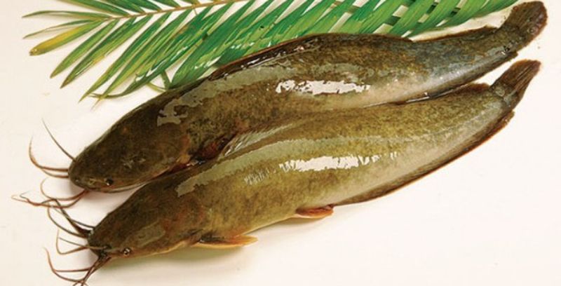 Chuẩn bị nguyên liệu làm cá nướng lò vi sóng 